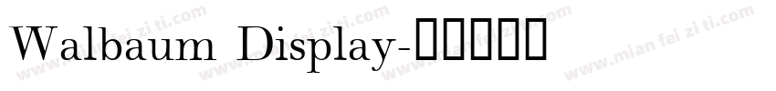 Walbaum Display字体转换